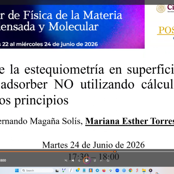 xx-taller-de-física-de-la-materia-condensada-2026-38